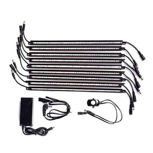 Rhino LED Light Kit Option Dean Safe